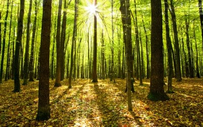 Do You Have Tunnel Vision Thinking?